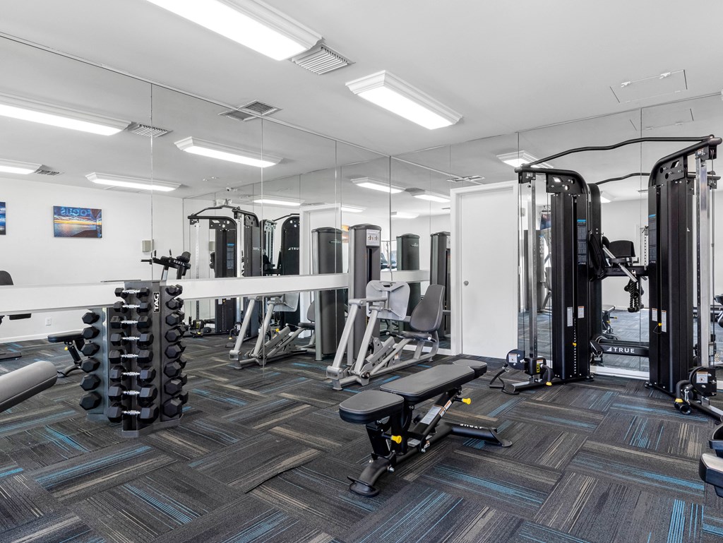 A gym with a variety of equipment including treadmills, weights, and benches.